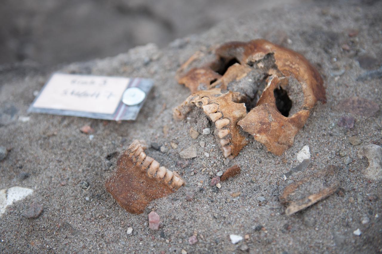 U kampu na njemačkom otoku pronašli sedam ljudskih kostura