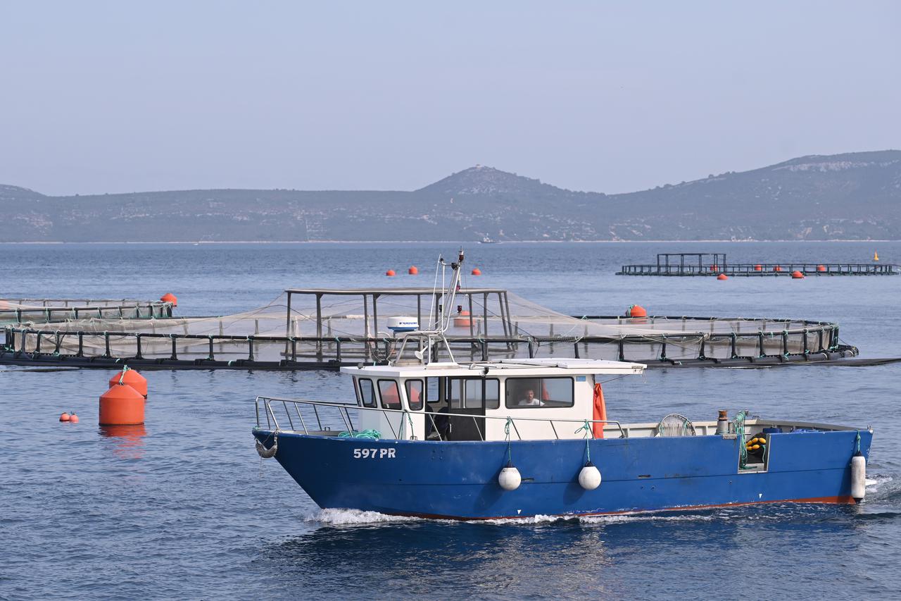 Zadar: Obilazak Cromaris-ovih kaveza za uzgoj ribe na Lavdari