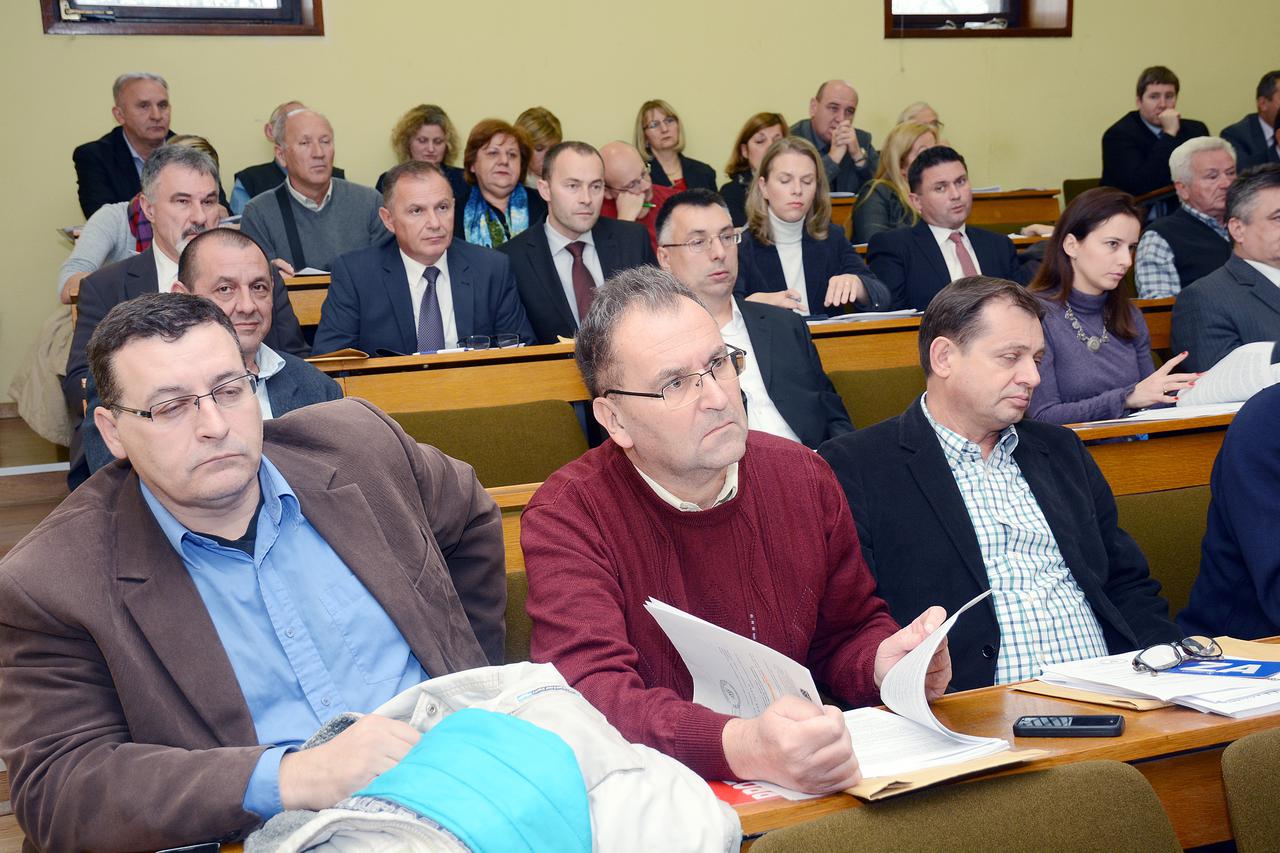 županijska skupština sisak