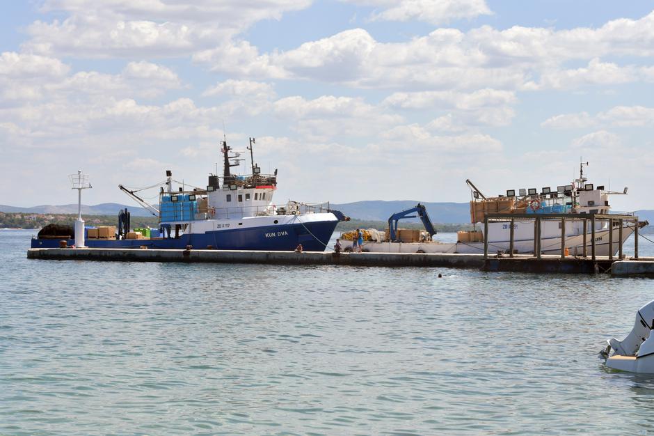 Tkon: Turistička patrola i Večernjakove zvjezdice 