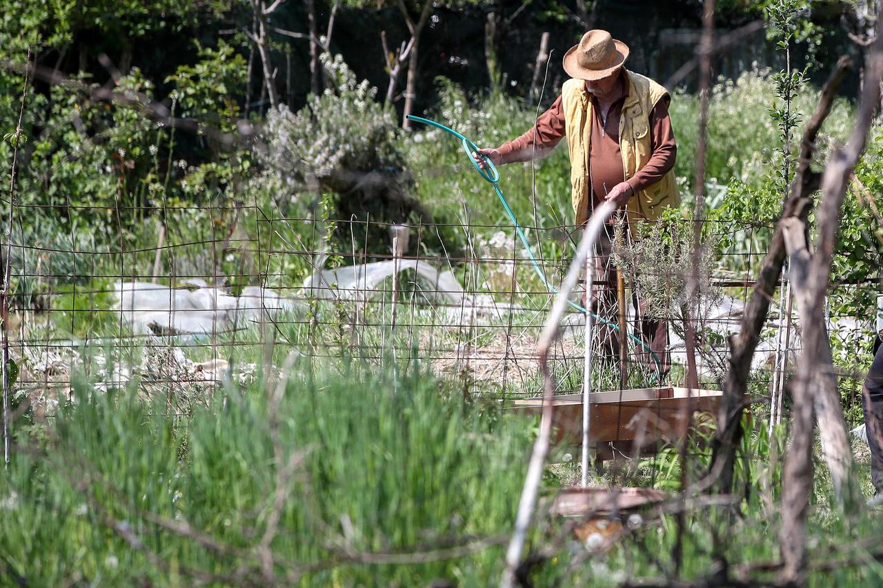 Urbani vrtovi u naselju Prečko