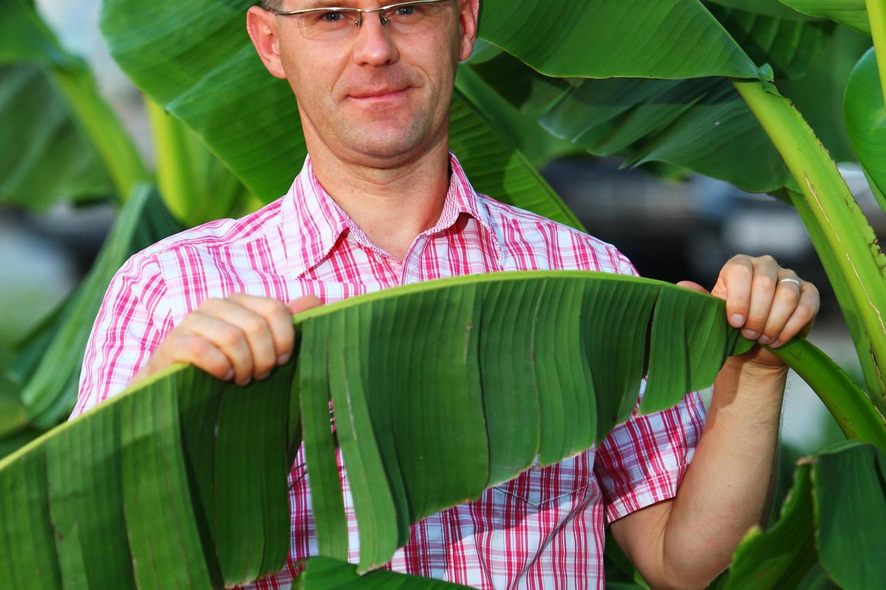 24.08.2012., Zagreb - Tvrtka Sulog d.o.o. , koje je vlasnik Ivan Sulog iz Bistre kraj Zagreba, bavi se uzgojem egzoticnog voca i povrca te prodajom sjemena i sadnica istih. Ivan Sulog.  Photo: Tomislav Miletic/PIXSELL