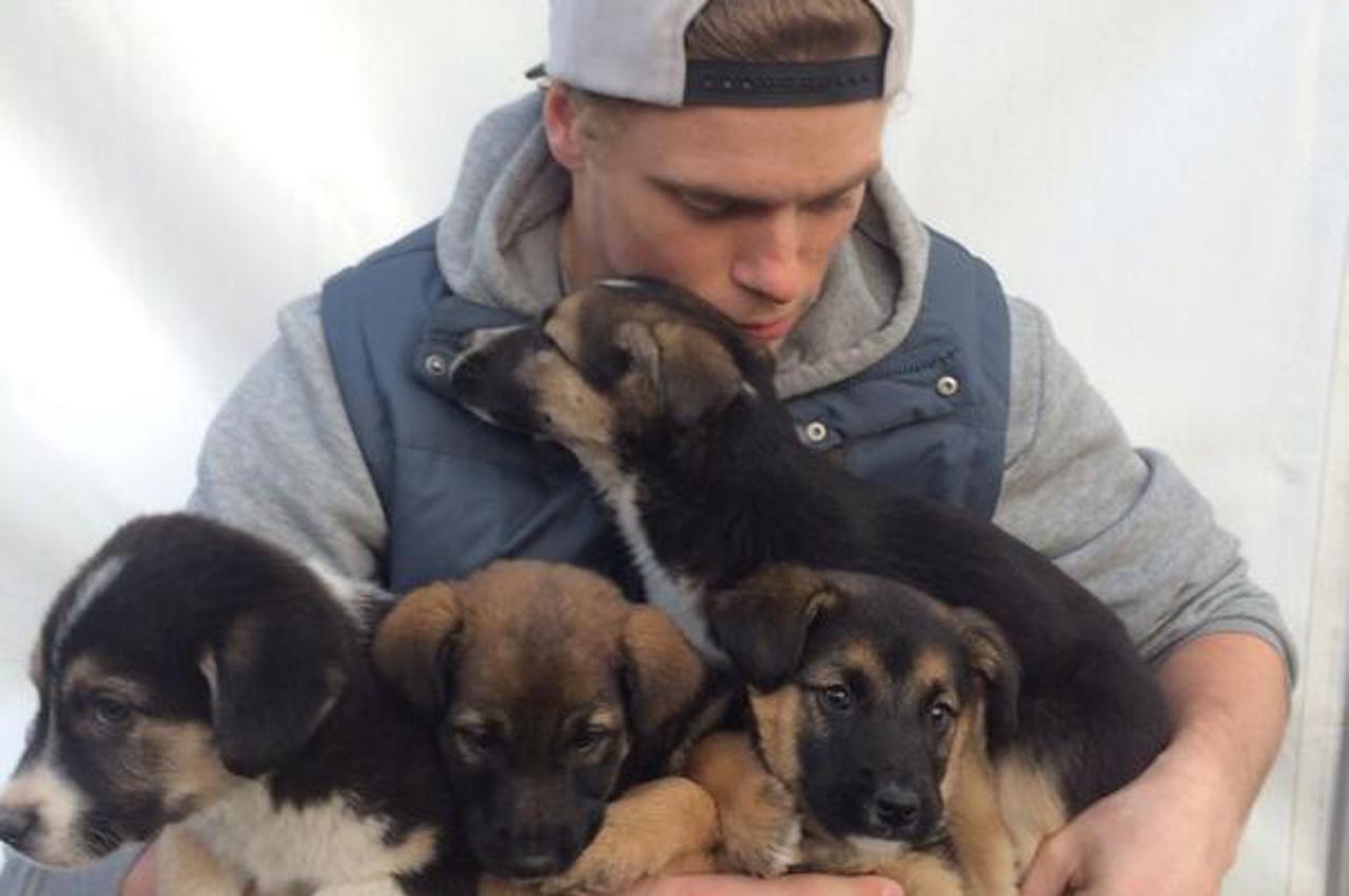 Skijaš spašava pse u Sočiju