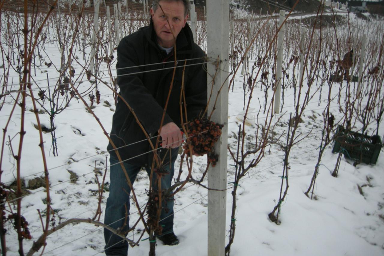 '                               '