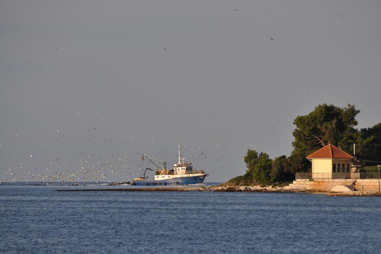 mirna rovinj