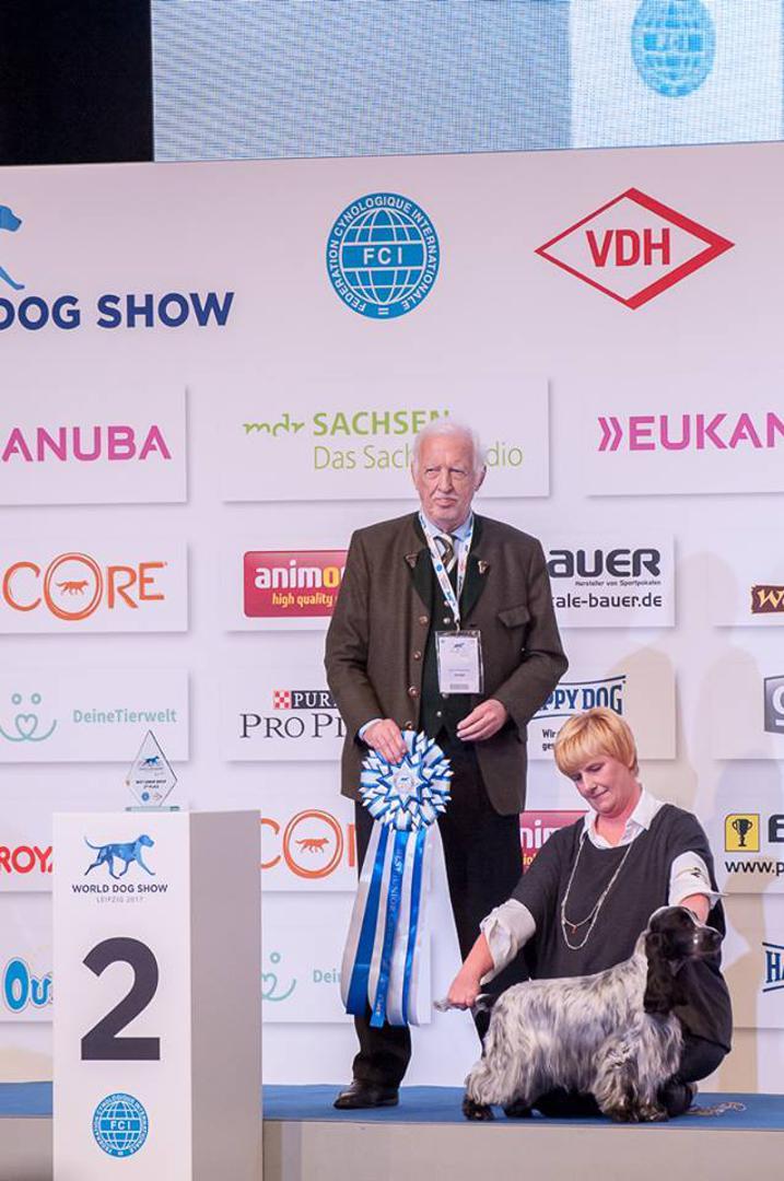 Engleska koker-španijelka Della Fiumana Ob-La-Di' Ob-La-Da' postala je svjetski mladi šampion (J BOB, JUNIOR r..BIG), a Della Fiumana Holy Moly bila je druga u svome razredu, Daila Rocchi