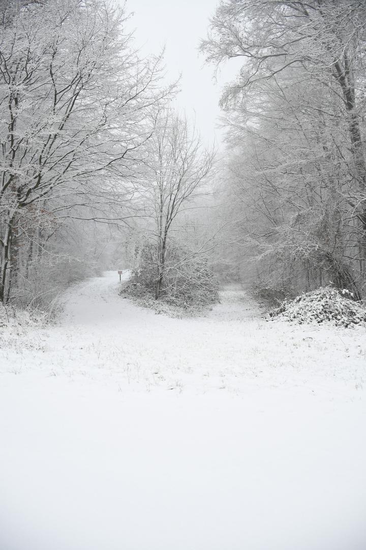 U Osijeku je pak snijeg silovito počeo padati oko 19 sati, a u samo sat vremena već se stvorio prvi deblji sloj koji je znatno otežao promet. 