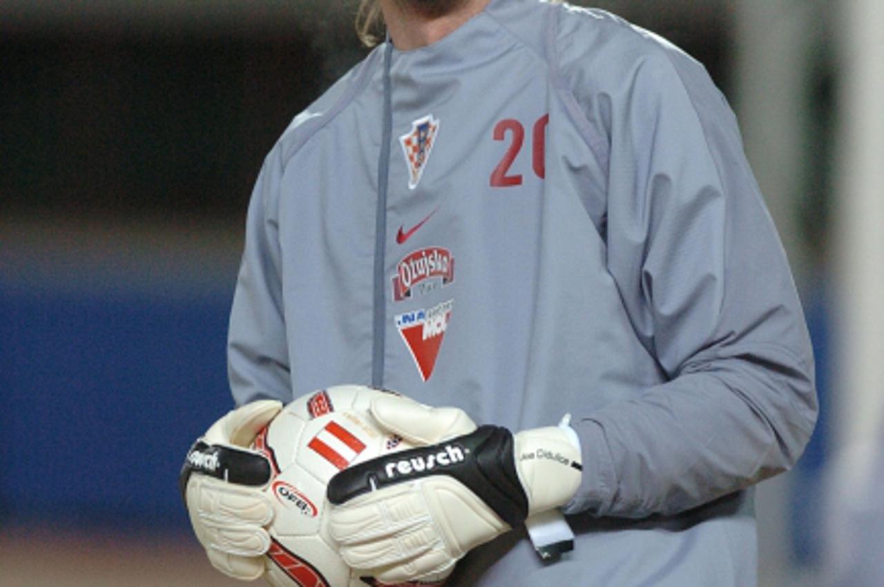 'sport...bec...01.03.2005. bec, trening uoci prijateljske utakmice austrija - hrvatska, joe didulica foto: goran stanzl'