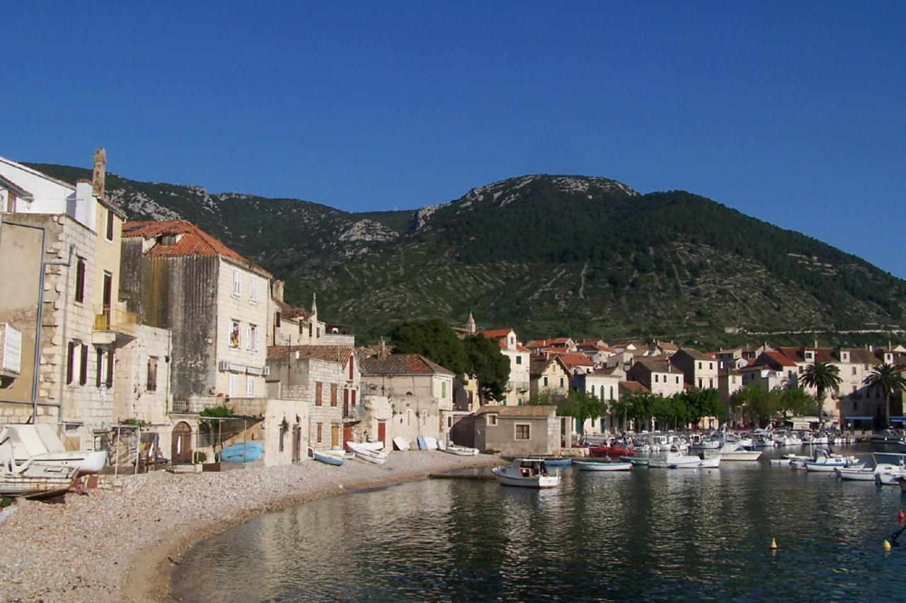Vis