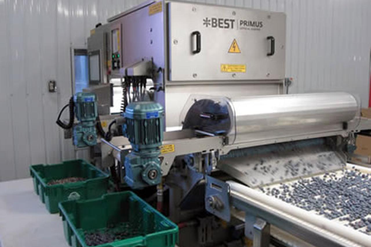 Stroj za sortiranje bobičastog voća