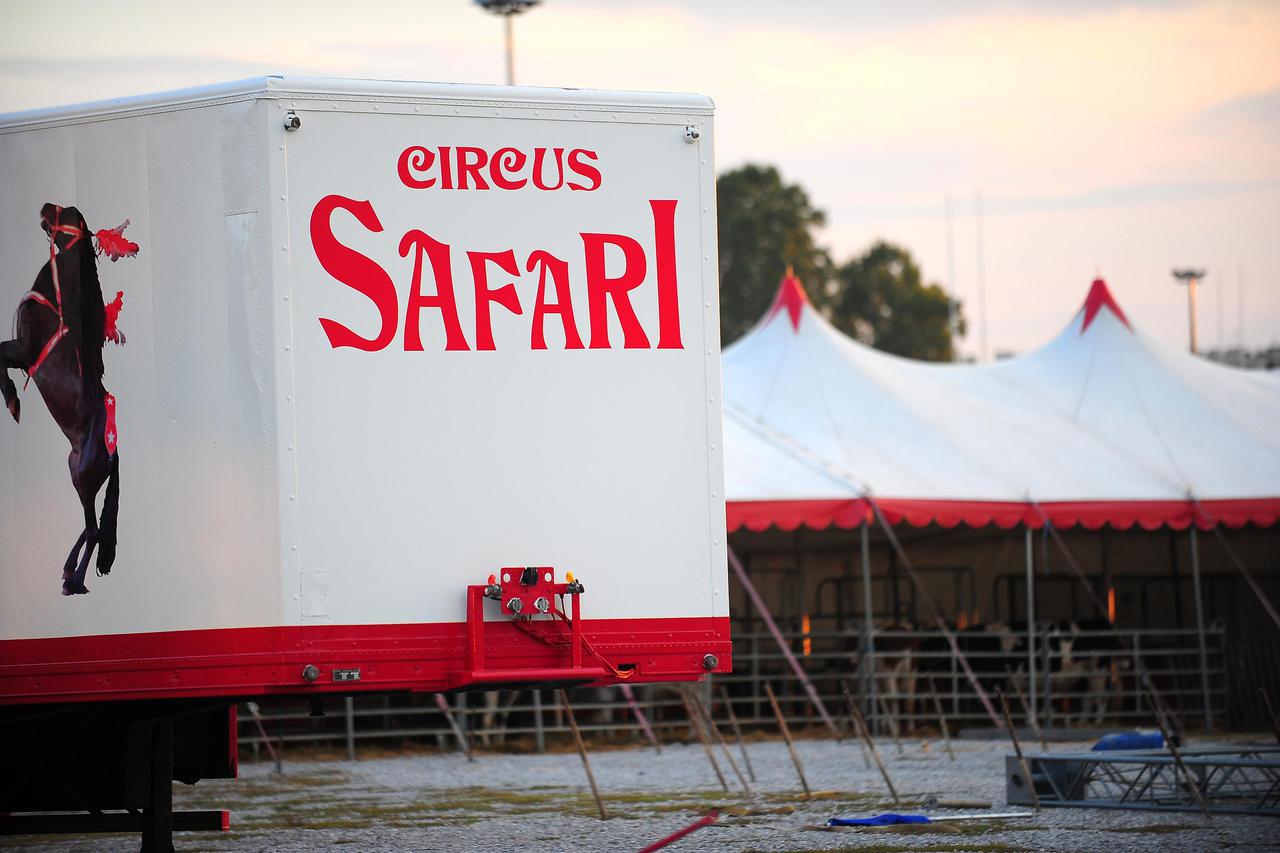cirkus safari