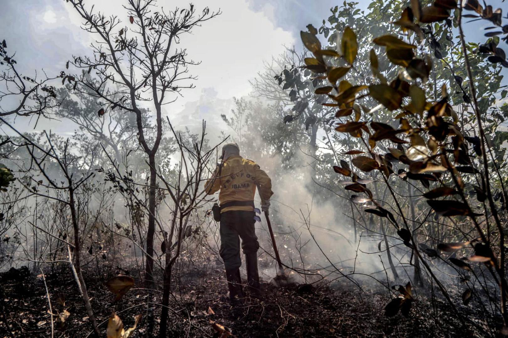 Ekološke katastrofe u Amazoni - Ekološka kriza u "vrtu svijeta", kako Nostradamus opisuje Amazonu, ukazuje na sve veću prijetnju sječe šuma i klimatskih promjena. Proročanstvo o "sumpornoj vodi" i poplavama dodatno naglašava hitnost rješavanja globalnih problema.
