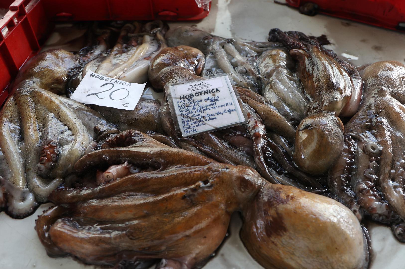 Ljubitelji rižota i salata od plodova mora također su došli na svoje. Hobotnica se prodavala po standardnih 20 eura za kilogram, dok je za ljubitelje škampa i kozica izbor bio raznolik: cijele kozice držale su cijenu od 25 eura, dok su očišćeni repovi kozica dosezali 30 eura.