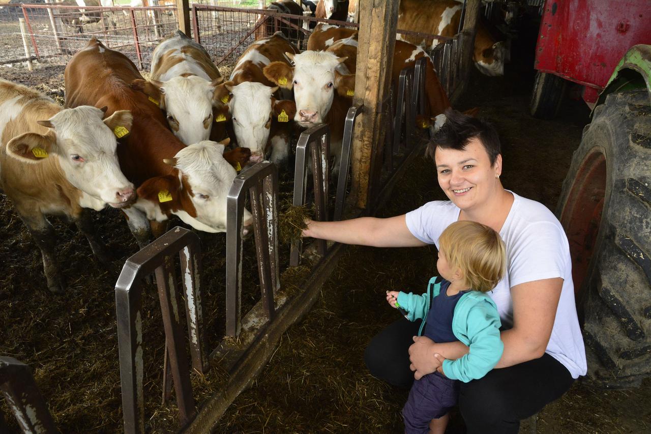 21.09.2016., Pozega, Draga - Marina Lukic iz Drage pokraj Pozege kandidatkinja je za najuzorniju hrvatsku seosku zenu.   Photo: Ivica Galovic/PIXSELL