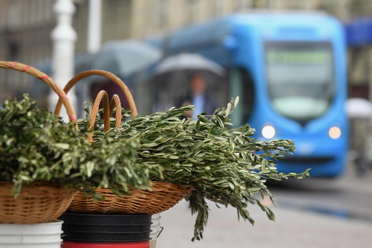 Zagreb: Počela prodaja maslinovih grančica uoči ulaska u Veliki tjedan