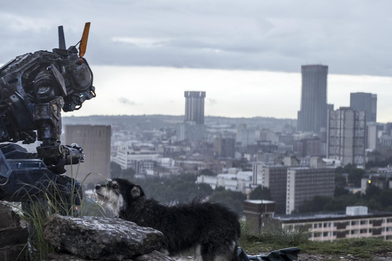 Chappie