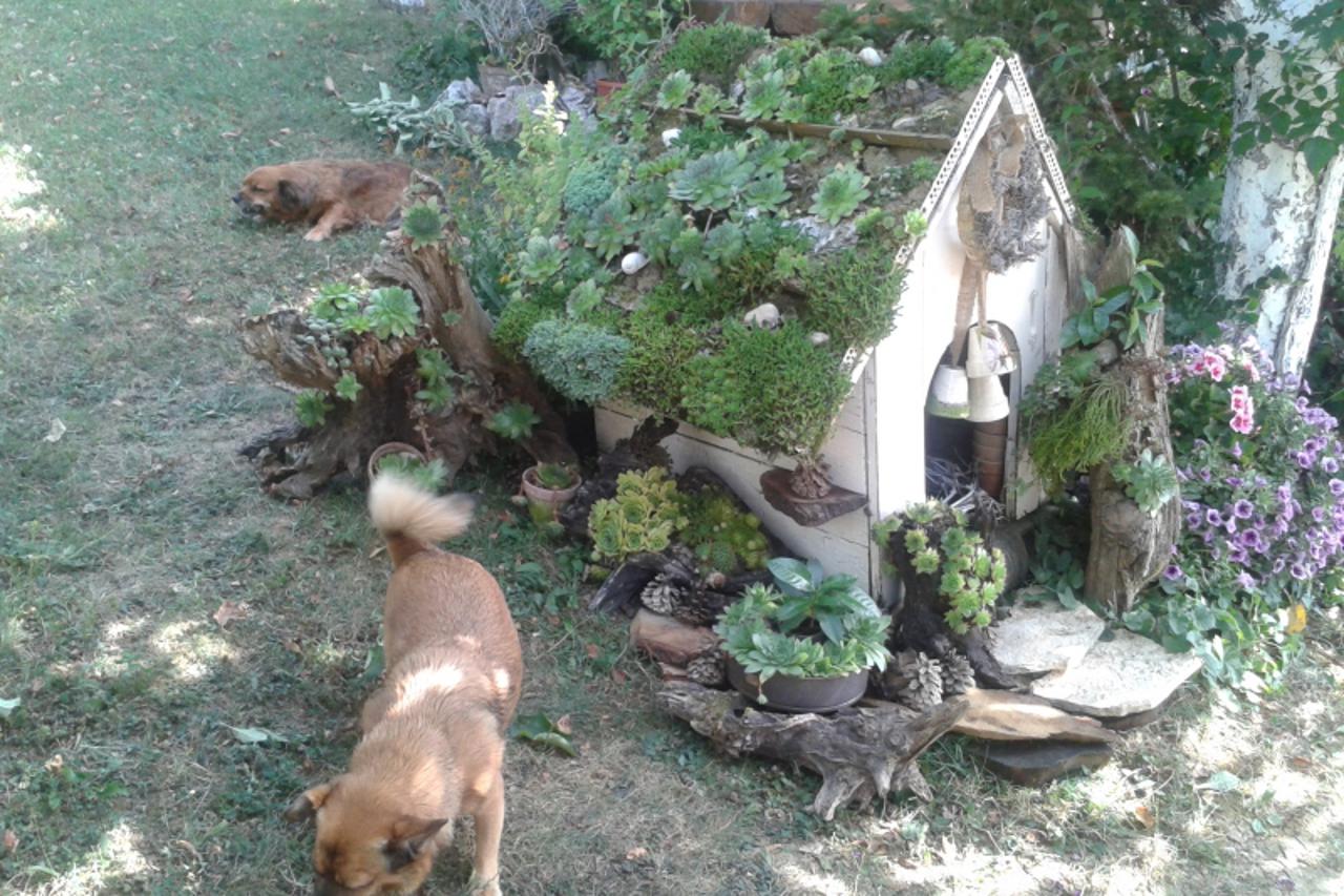 'kovacec_nnn_vrt_141013'