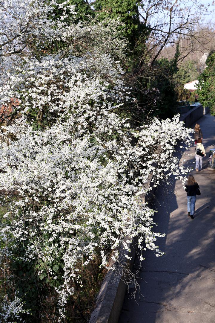 U Zagrebu je danas djelomice sunčano, a poslijepodne je na širem području grada uz mjestimice jači razvoj oblaka moguća kratkotrajna kiša ili lokalni pljusak. 