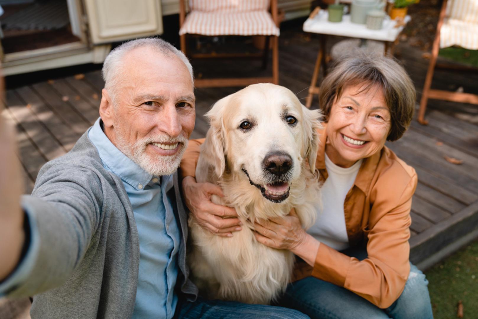 Starijim ljudima pas je često glavna motivacija za izlazak iz kuće i šetnju, biće koje određuje ritam njihova dana. Prilika je to da ustanu, prošeću i popričaju s nekim na putu. Idealna pasmina za starije je ona koja voli društvo, traži nježnost i potiče na kretanje, ali ne zahtijeva maratone i stalnu akciju. Otkrivamo devet pasmina koje se odlično uklapaju u mirniji tempo života.