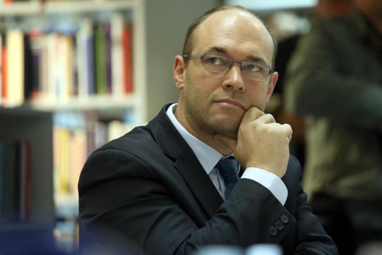 Davor Ivo Stier 