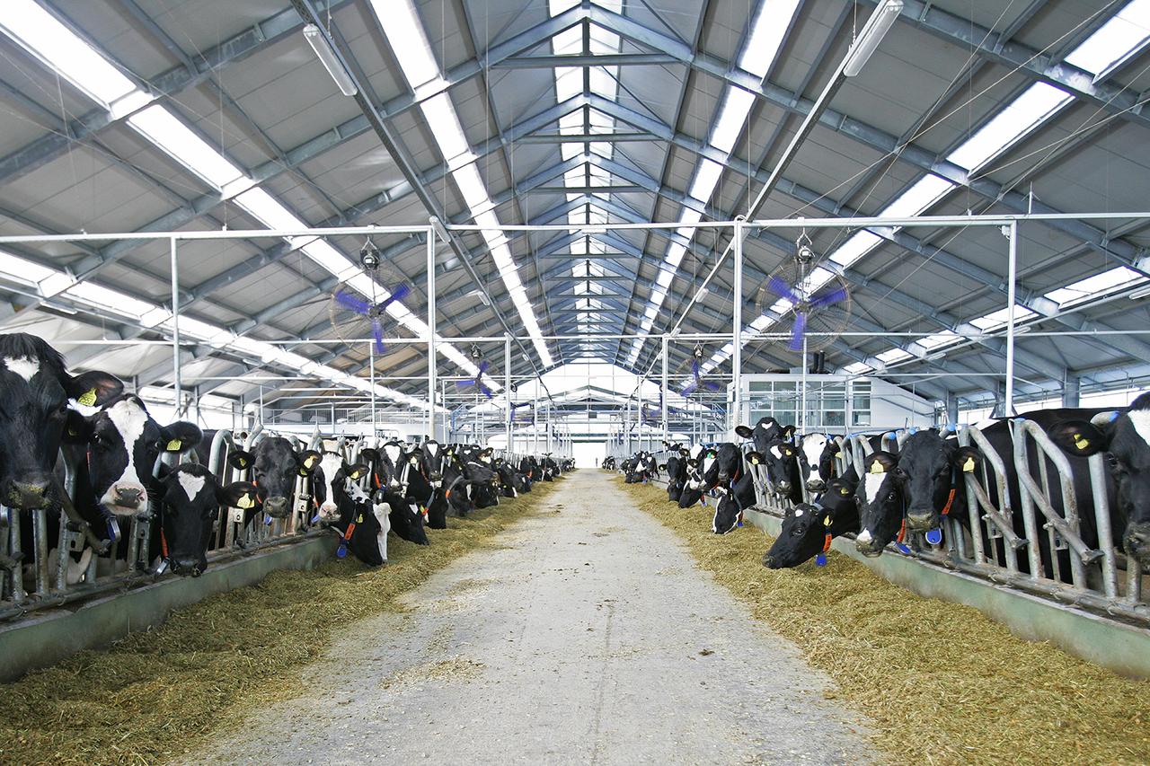 Podravka Agri širi brend ABC