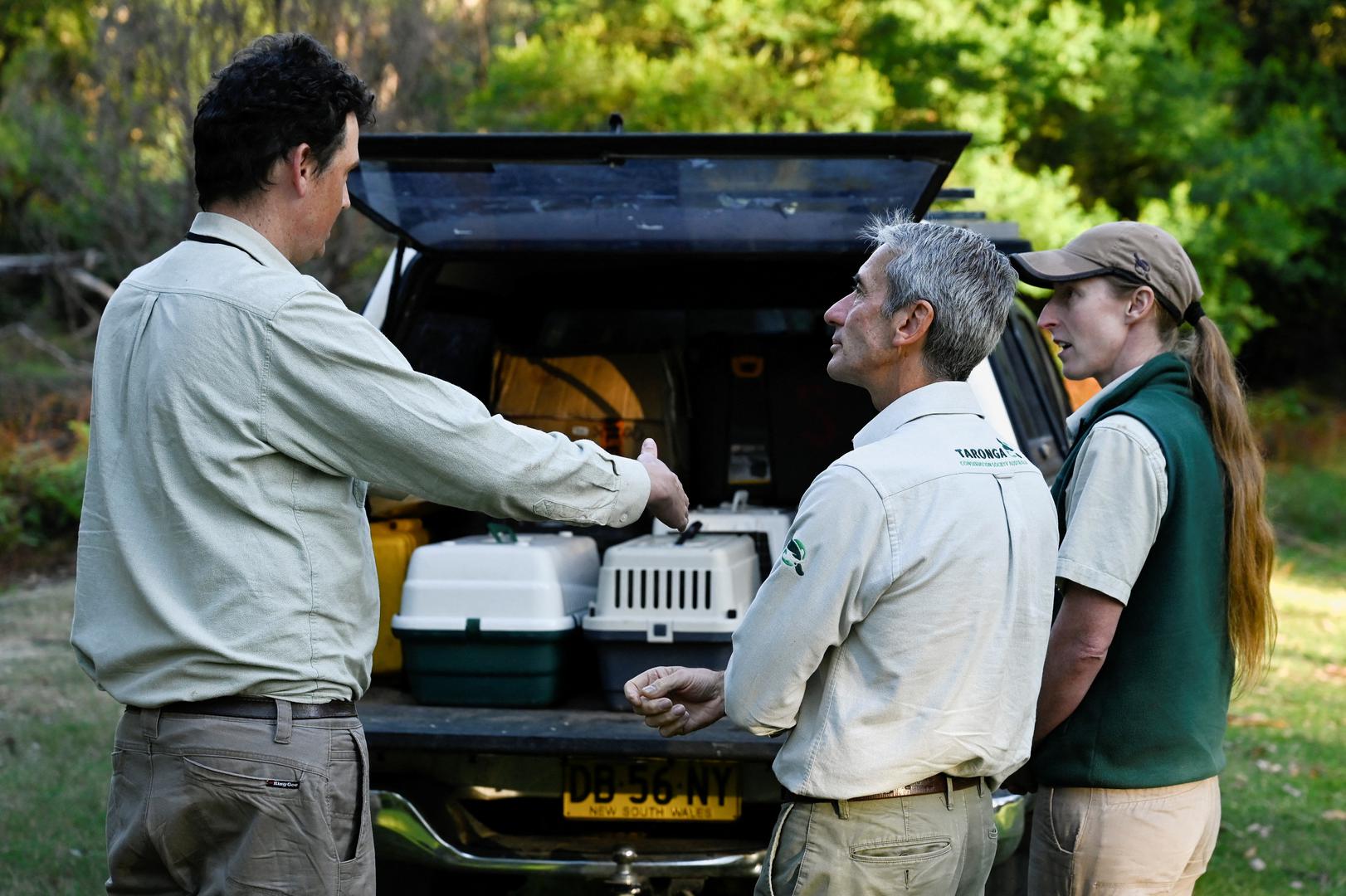 Taronga Zoo CEO Cameron Kerr talks with Scientists beside a vehicle containing platypus in animal carriers before platypus were released back into Sydney’s Royal National Park for the first time in over fifty years, in Sydney, Australia, May 12, 2023.  REUTERS/Jaimi Joy Photo: JAIMI JOY/REUTERS