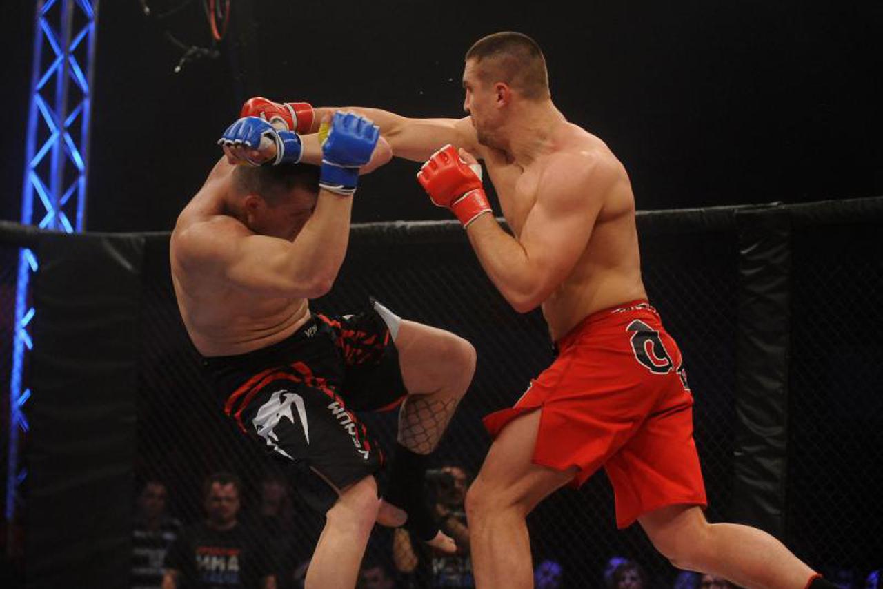MMA liga