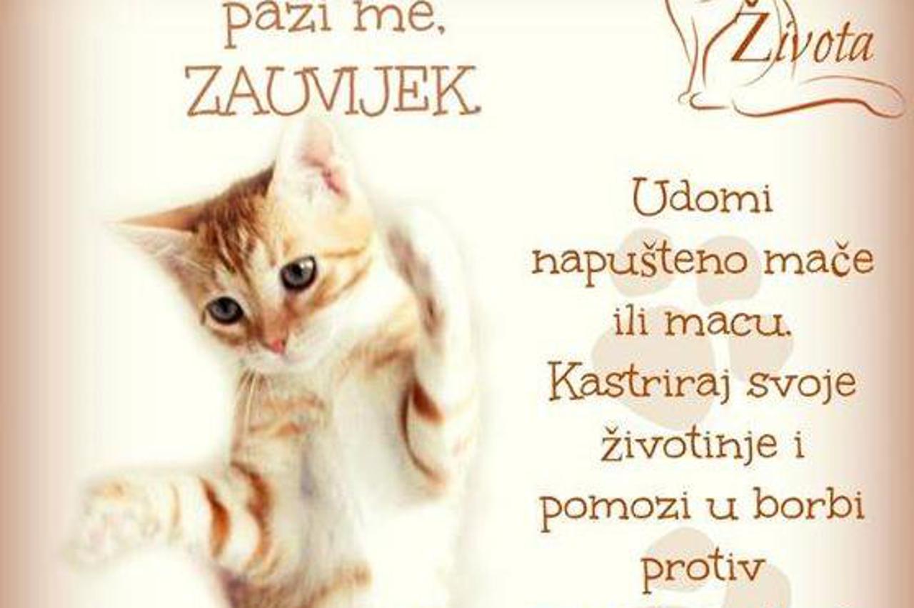 Udruga Devet života