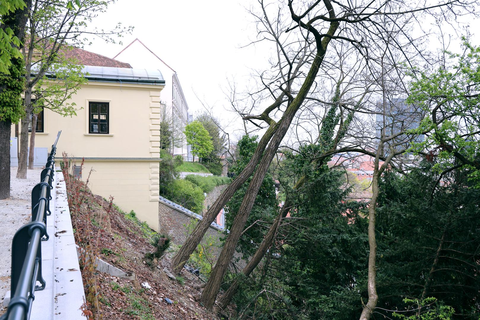 Posebnu pozornost prolaznika ovih su dana privukla stabla na Strossmayerovu šetalištu, neposredno uz obnovljenu uspinjaču, koja na prvi pogled djeluju opasno nagnuto.