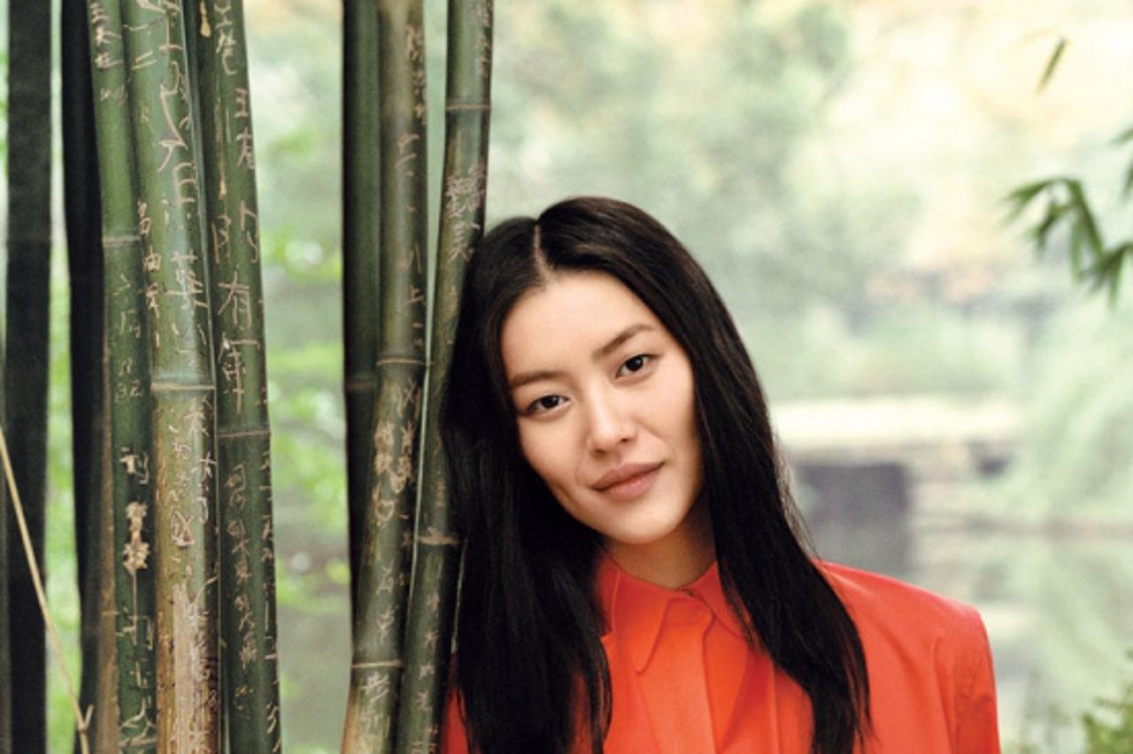 liu wen