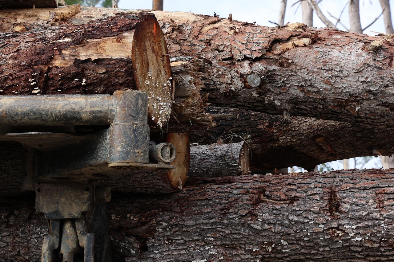 Split: Započeta sanacija Park šume Marjan nakon ljetne oluje 