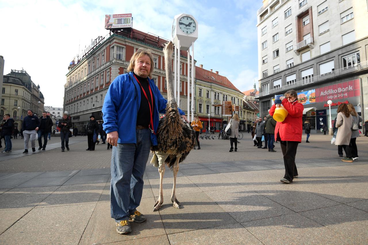 Noj Francelj glavna atrakcija zagrebačke špice