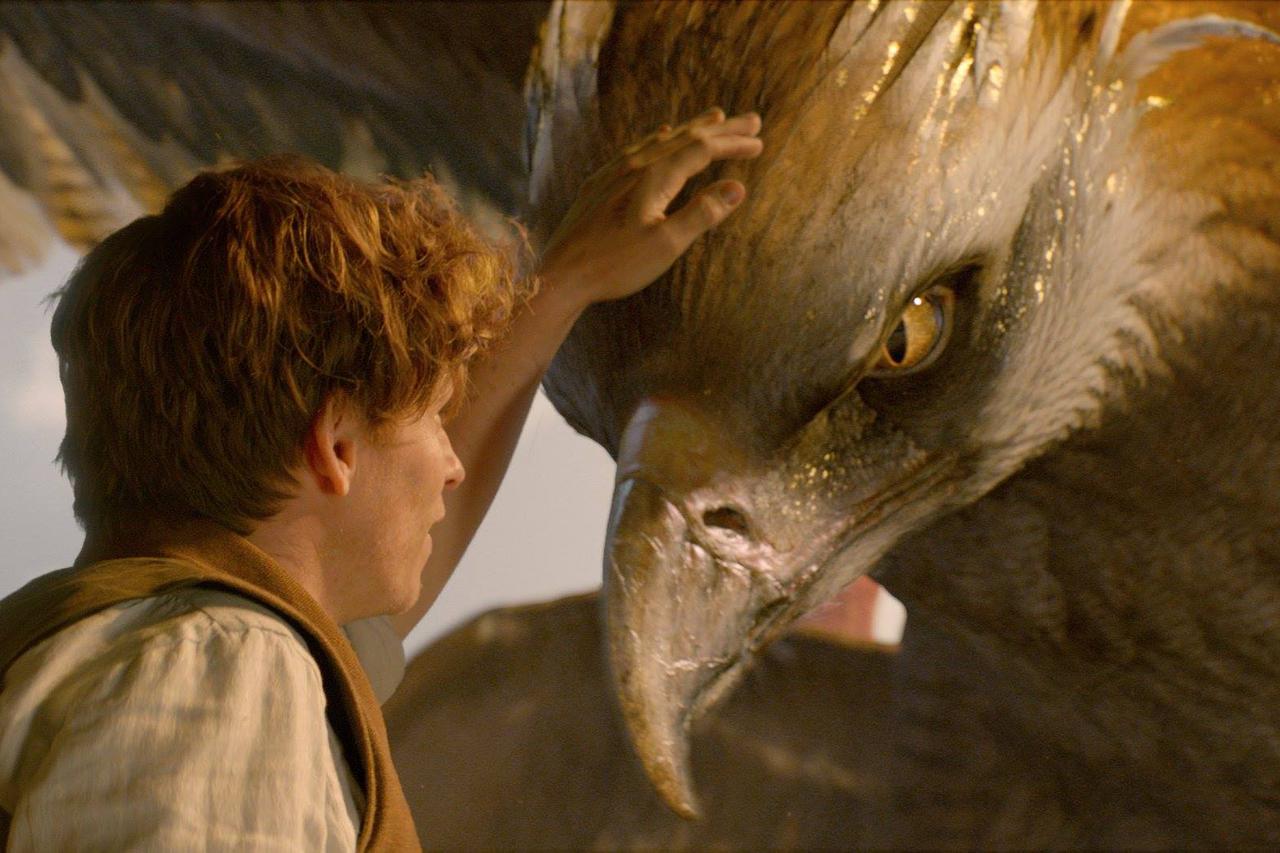 Čudesne zvijeri i gdje ih naći