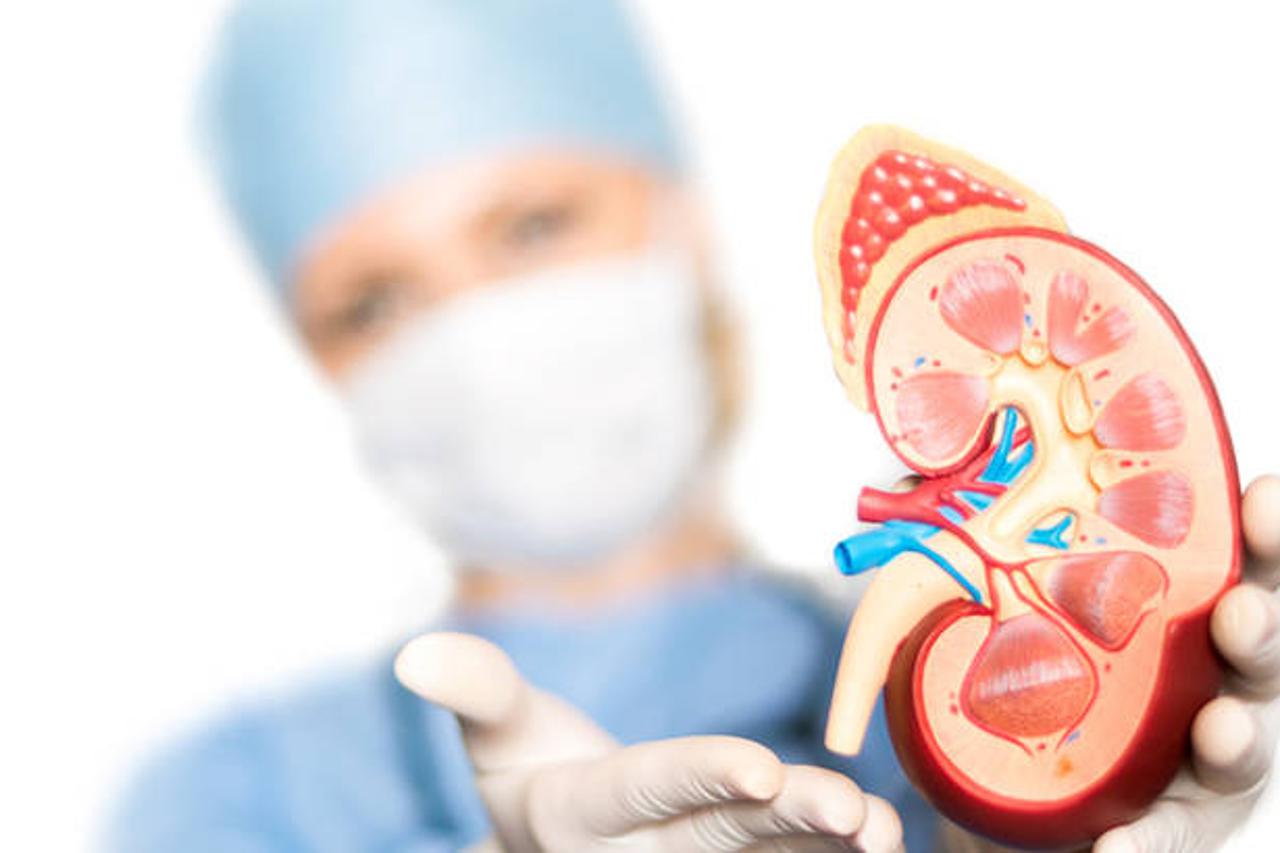 Svjetski dan bubrega