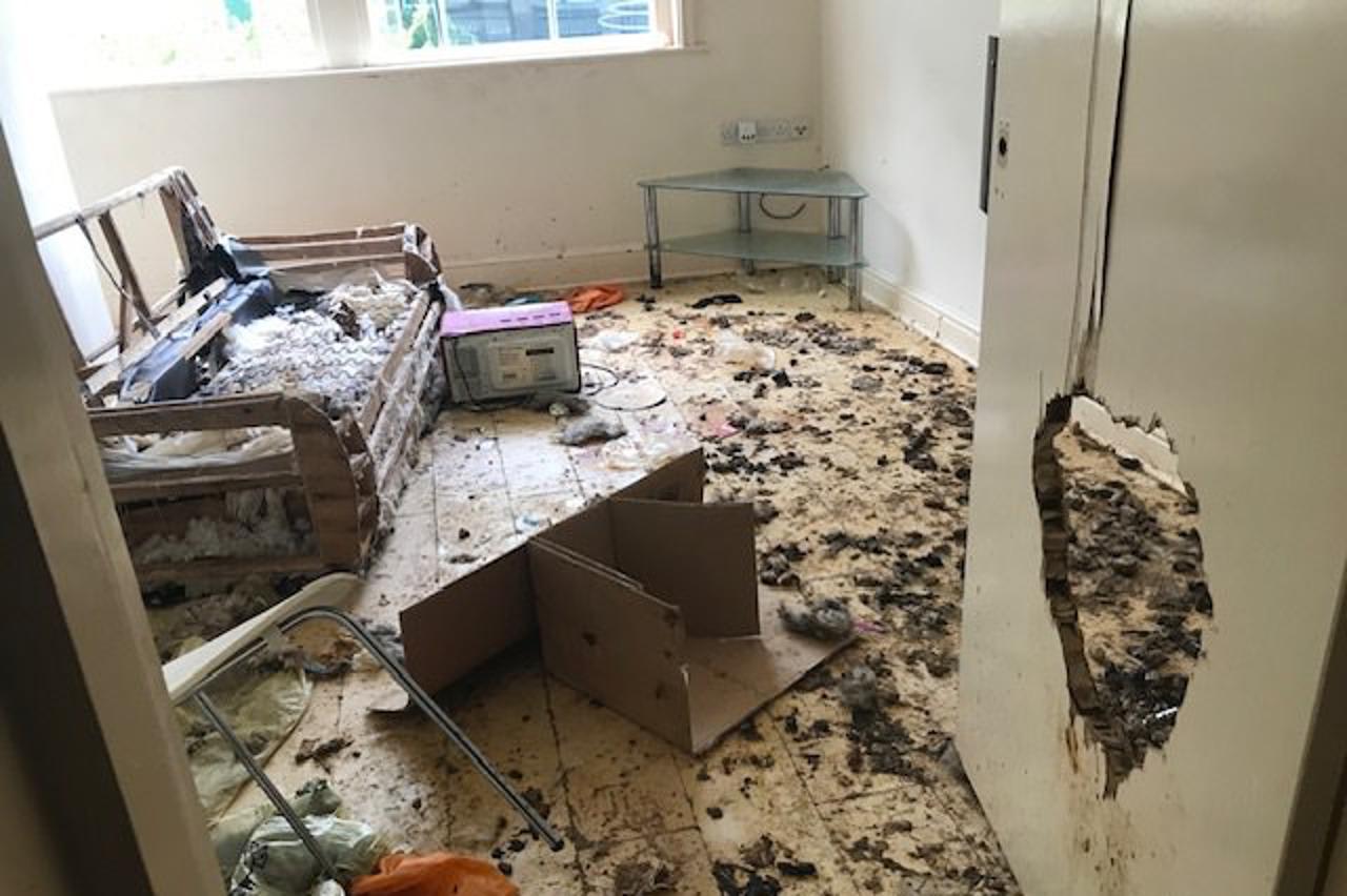 Životinje ostavljene u stanu