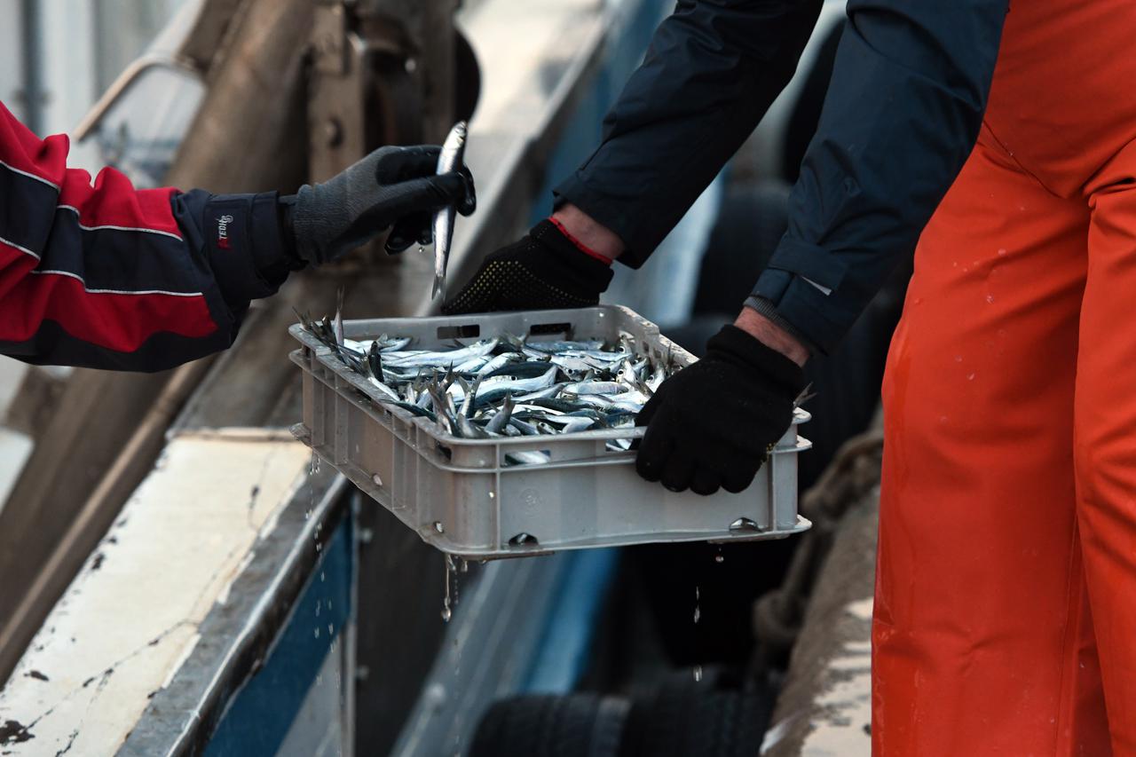 Tribunj: Unatoč brojnim nedaćama tribunjski ribari nakon lovostaja redovno obavljaju svoje poslove