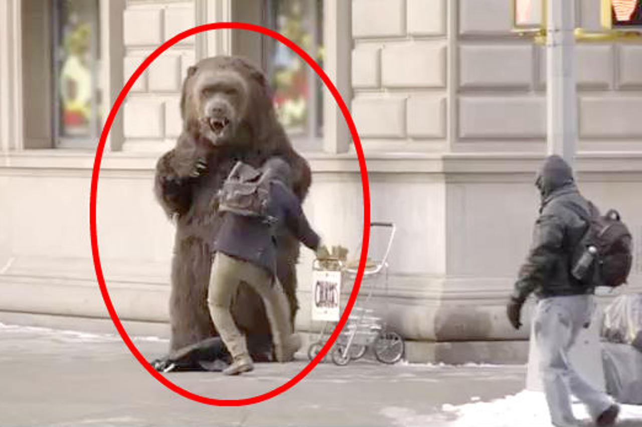 'Medvjed' na ulicama New Yorka