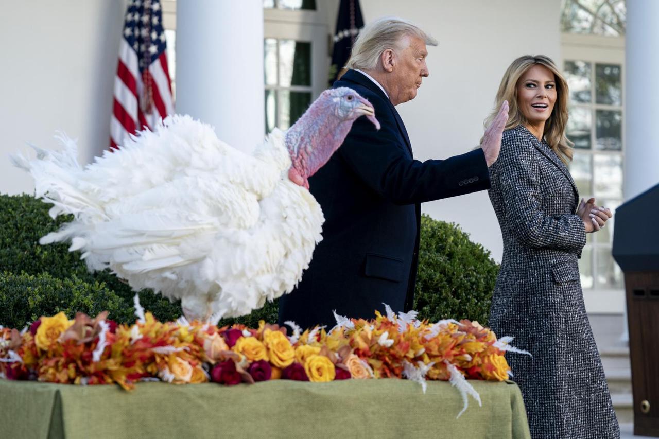 President Trump Pardons the National Thanksgiving Turkey in Washington, DC