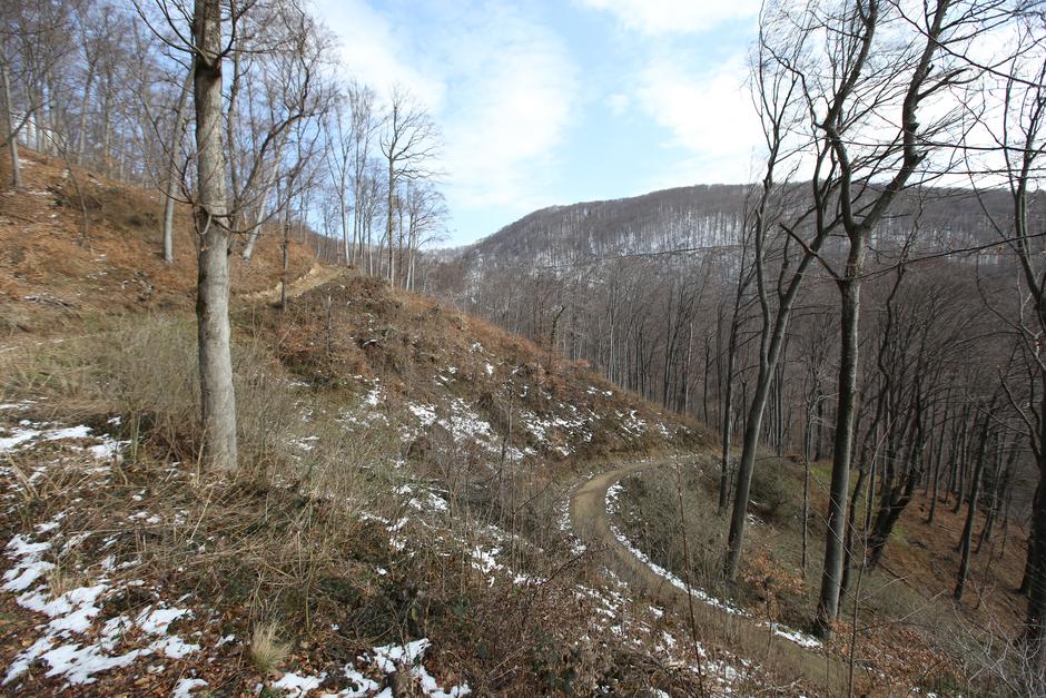 Medvednica - Devastacija parka prirode