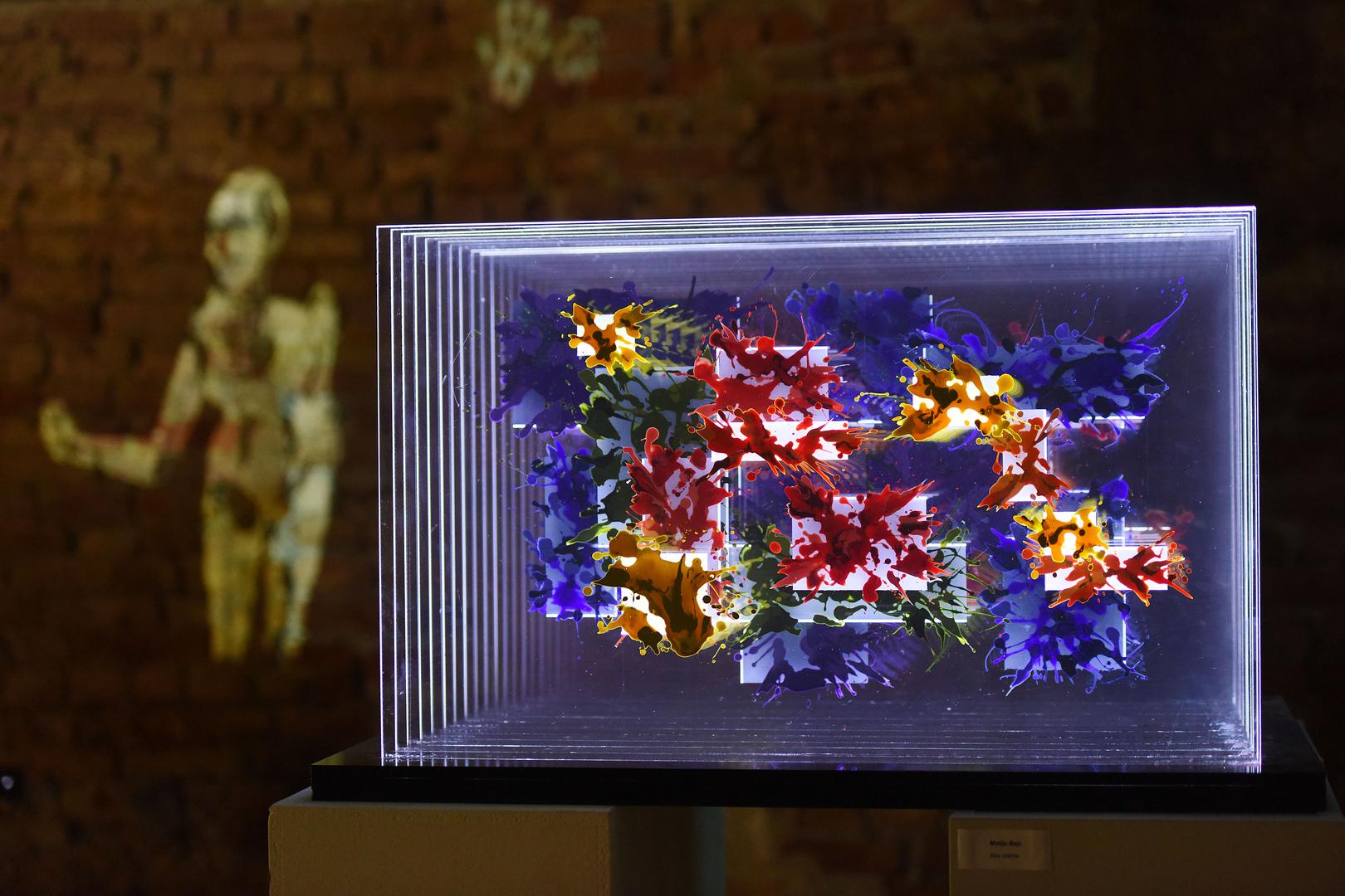 01.09.2017., Cakovec - Zrinski art festival. "nPhoto: Vjeran Zganec-Rogulja/PIXSELL 