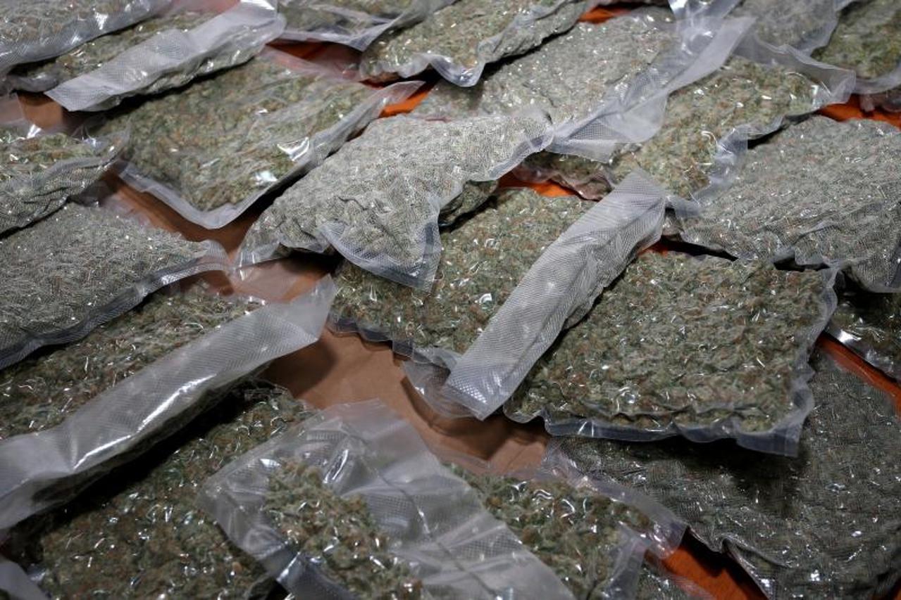 marihuana