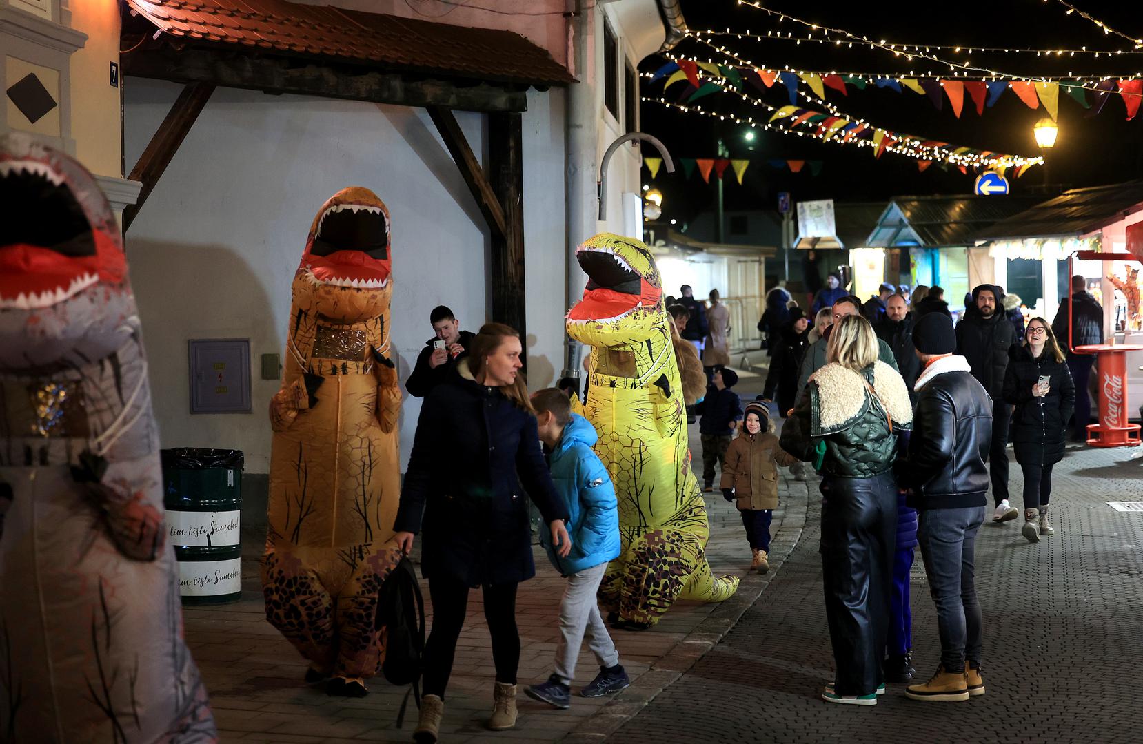 Maskirane grupe brojnih sudionika pretvorile su grad u mjesto stalne dvotjedne zabave, a koncert je održao Petar Grašo.