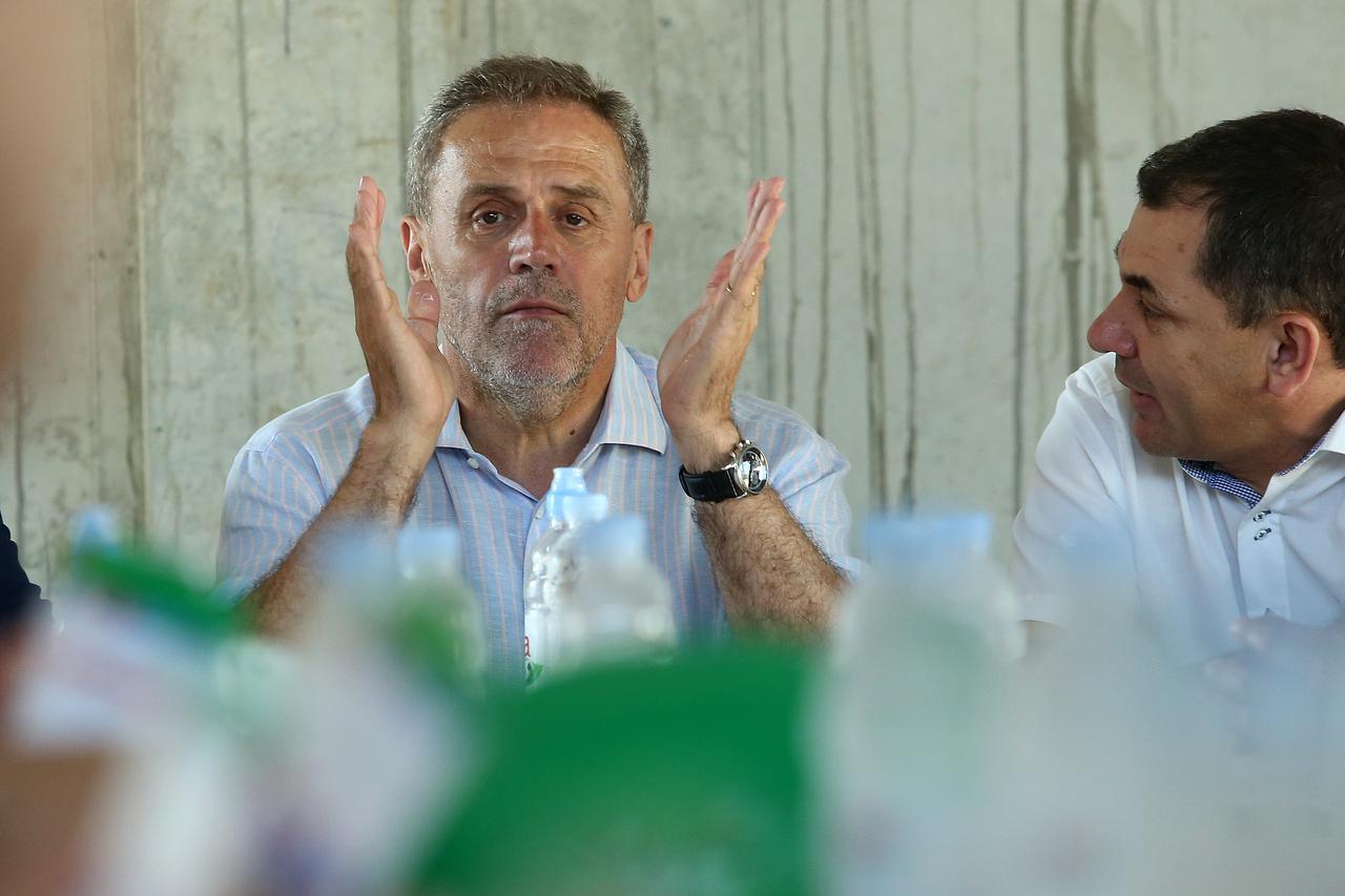 bandic kajzerica