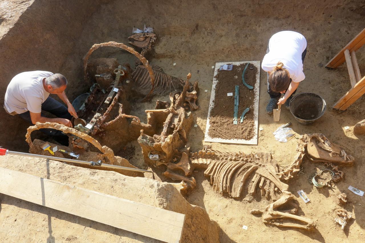 Na lokalitetu Jankovačka dubrava pronađena rimska kola s upregnutim konjima iz 3. stoljeća