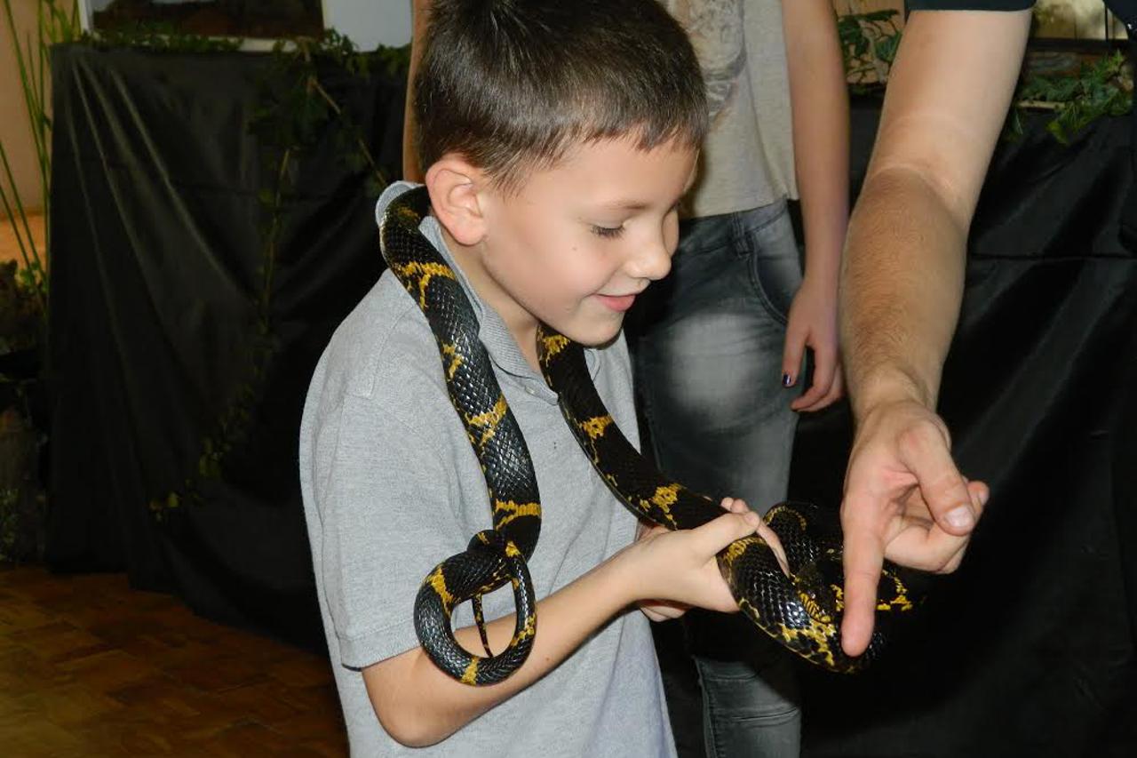 anFex Borovo 2014., izložba životinja