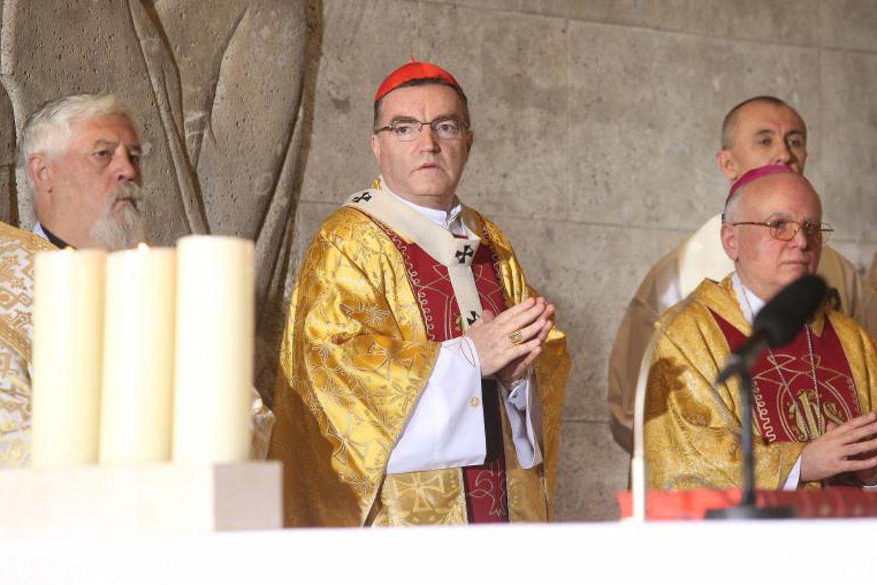 Kardinal Bozanić predvodio misu za domovinu