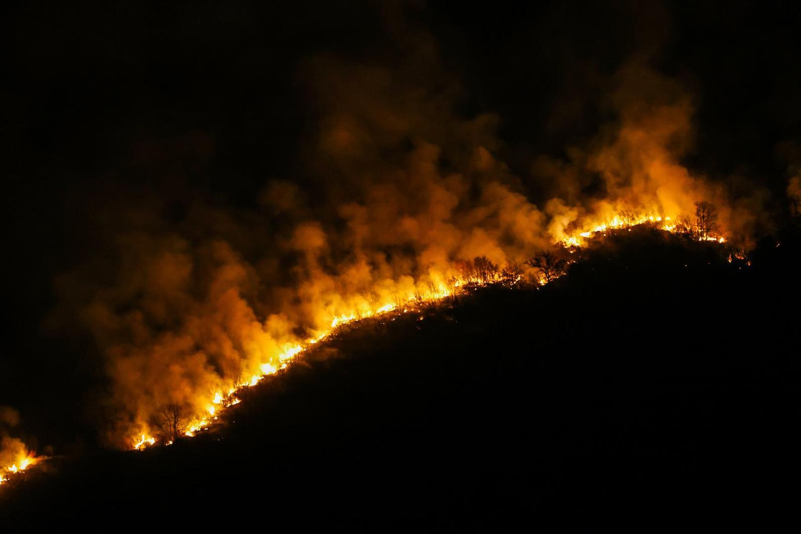 05.02.2025., Susnjevica- Danas oko 15 sati izbio je požar podno Učke, na području Kožljaka, točnije Jasenovika. Gori trava i nisko raslinje, a tamošnje kuće nisu ugrožene. Na terenu je 50 vatrogasaca s 15 vozila.  Photo: Srecko Niketic/PIXSELL