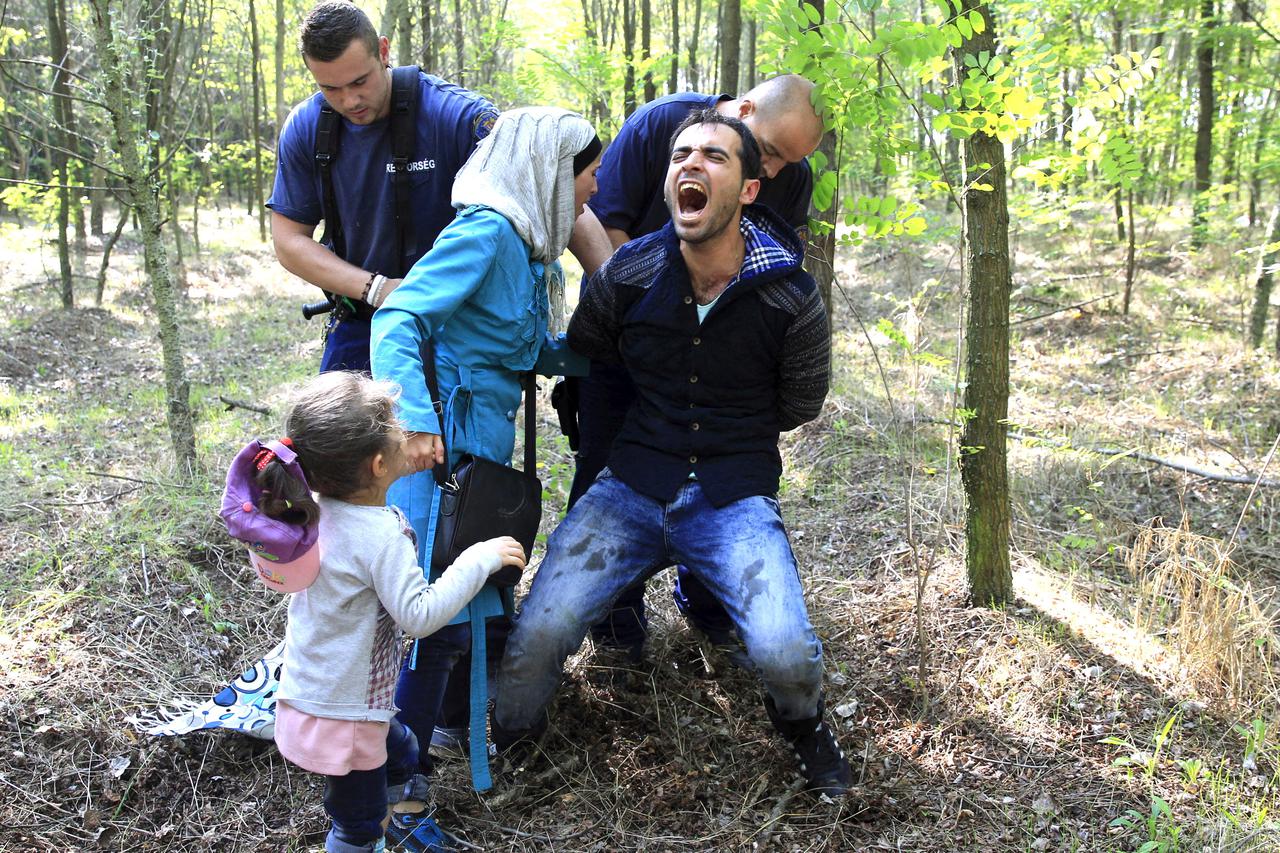 migranti
