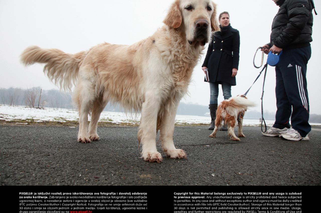 '16.02.2013., Zagreb - Maksimirska livada preko puta KBC Dubrava, na kojoj je nedavno doslo do trovanja pasa.   Photo: Zarko Basic/PIXSELL'