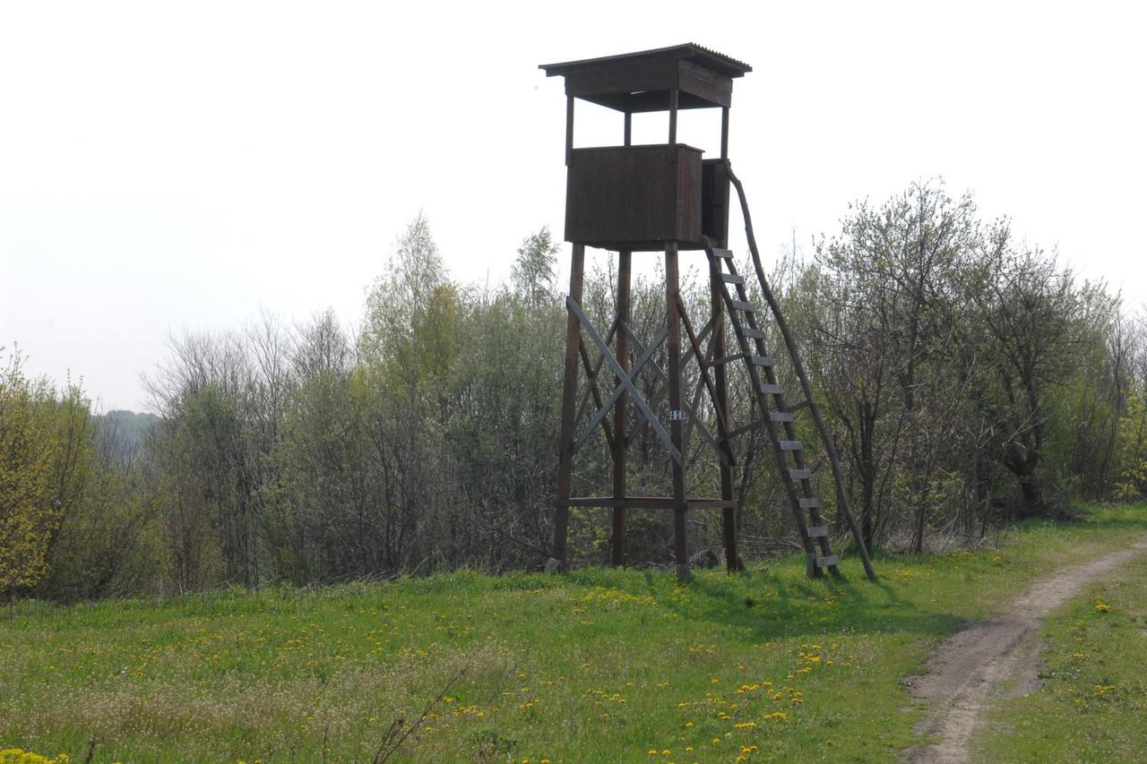lovačka čeka